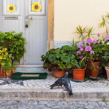 Apartman The Sunset Hideout