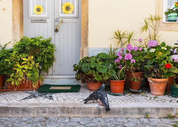 Apartamento The Sunset Hideout